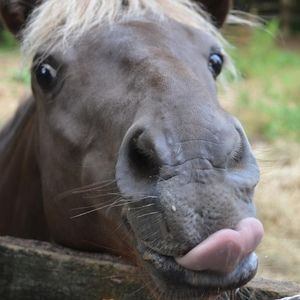Meet your Posher, Jenny